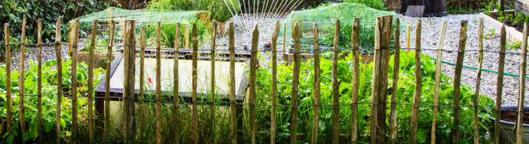 Zaunbau Rostock für alle Arten von Zäunen